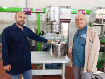 Köprübaşı’nda zeytin sıkım sezonu başladı