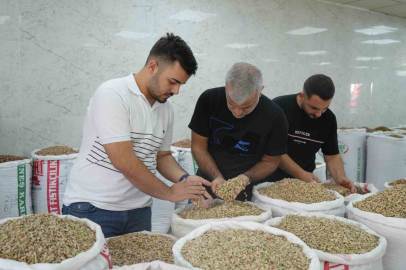 Antep fıstığına ithalat izni çıkıcınca fiyatlar ve satışlar düştü