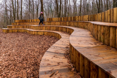 Sonbaharda huzurun adresi Ormanya'da kartpostallık görüntüler
