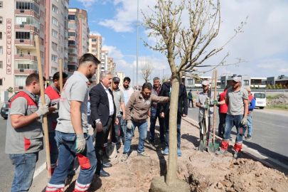 Kayseri Melikgazi'den yemyeşil atılım