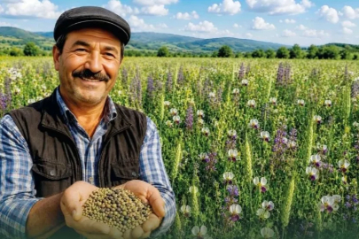 Yem Maliyetlerine Karşı Güçlü Hamle